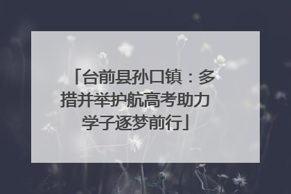 台前县孙口镇：多措并举护航高考助力学子逐梦前行